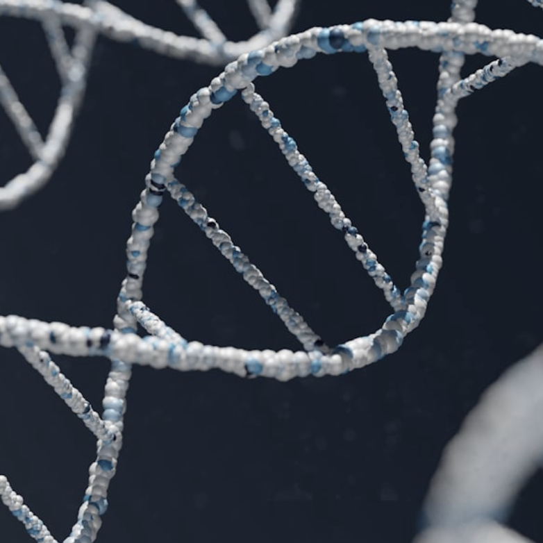 Global Intersex News Quarter 4 - 2025 18