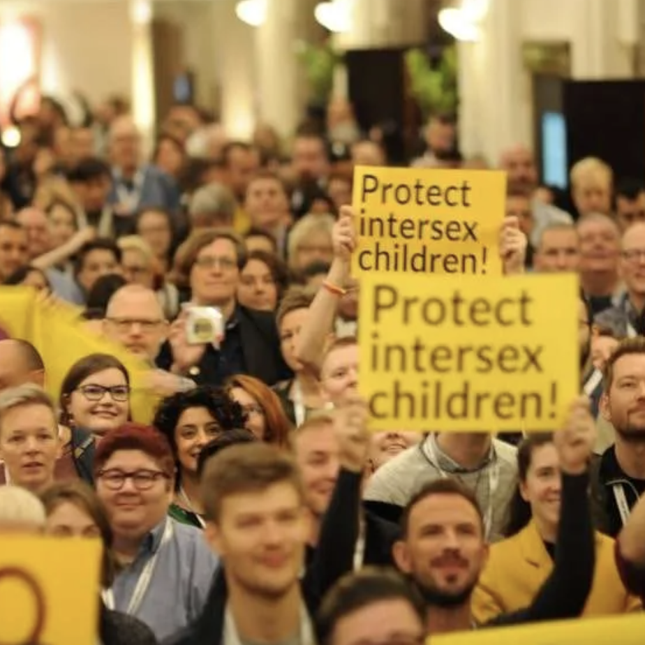Global Intersex News Quarter 4 - 2025 9