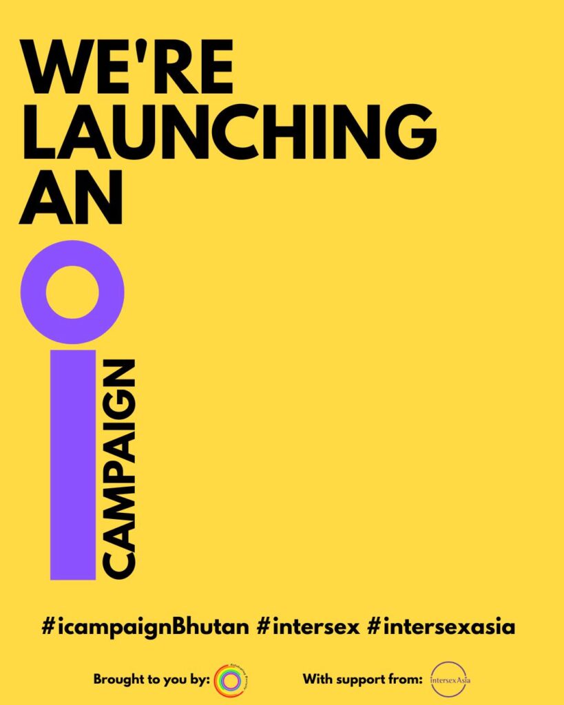 Building a Movement in Bhutan: How to Adapt Regional Intersex Advocacy to the Country Level? 1