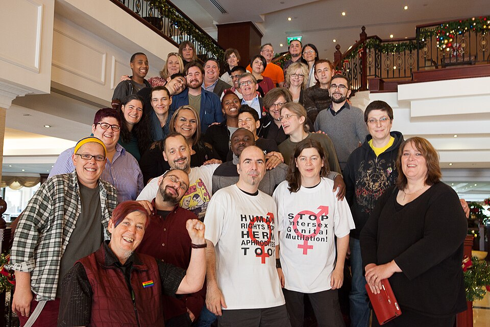 Thirty Years of Refusing to Disappear: What the Intersex Movement Got Right and What‘s Next? 3