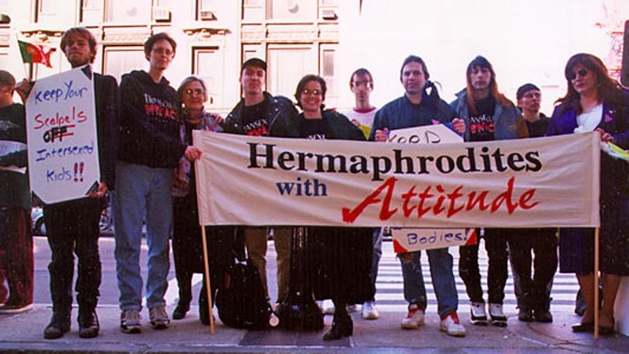 Thirty Years of Refusing to Disappear: What the Intersex Movement Got Right and What‘s Next? 2